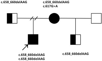 Case report: An asymptomatic mother with an inborn error of cobalamin metabolism (cblC) detected through high homocysteine levels during prenatal diagnosis